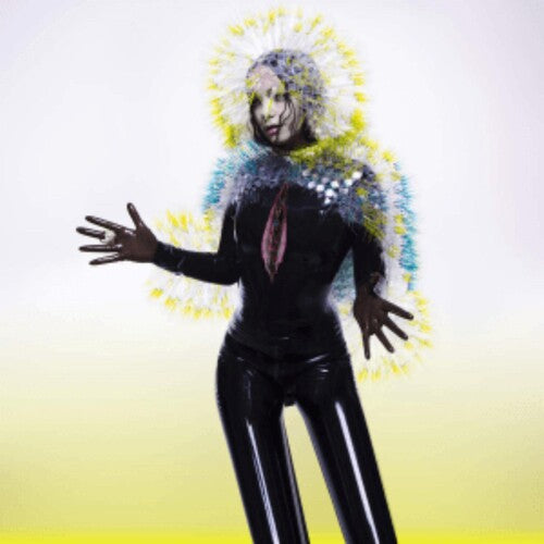 Bjork Vulnicura