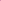 Queen Tour '80 Pink